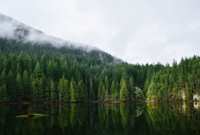 All the Reasons We Love Ladysmith, BC