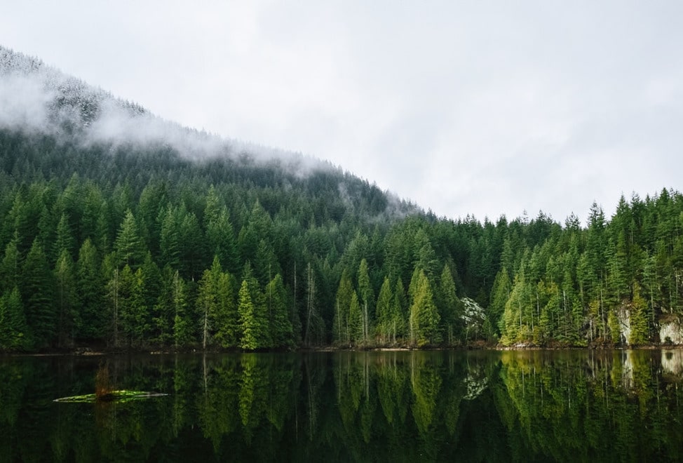 All the Reasons We Love Ladysmith, BC