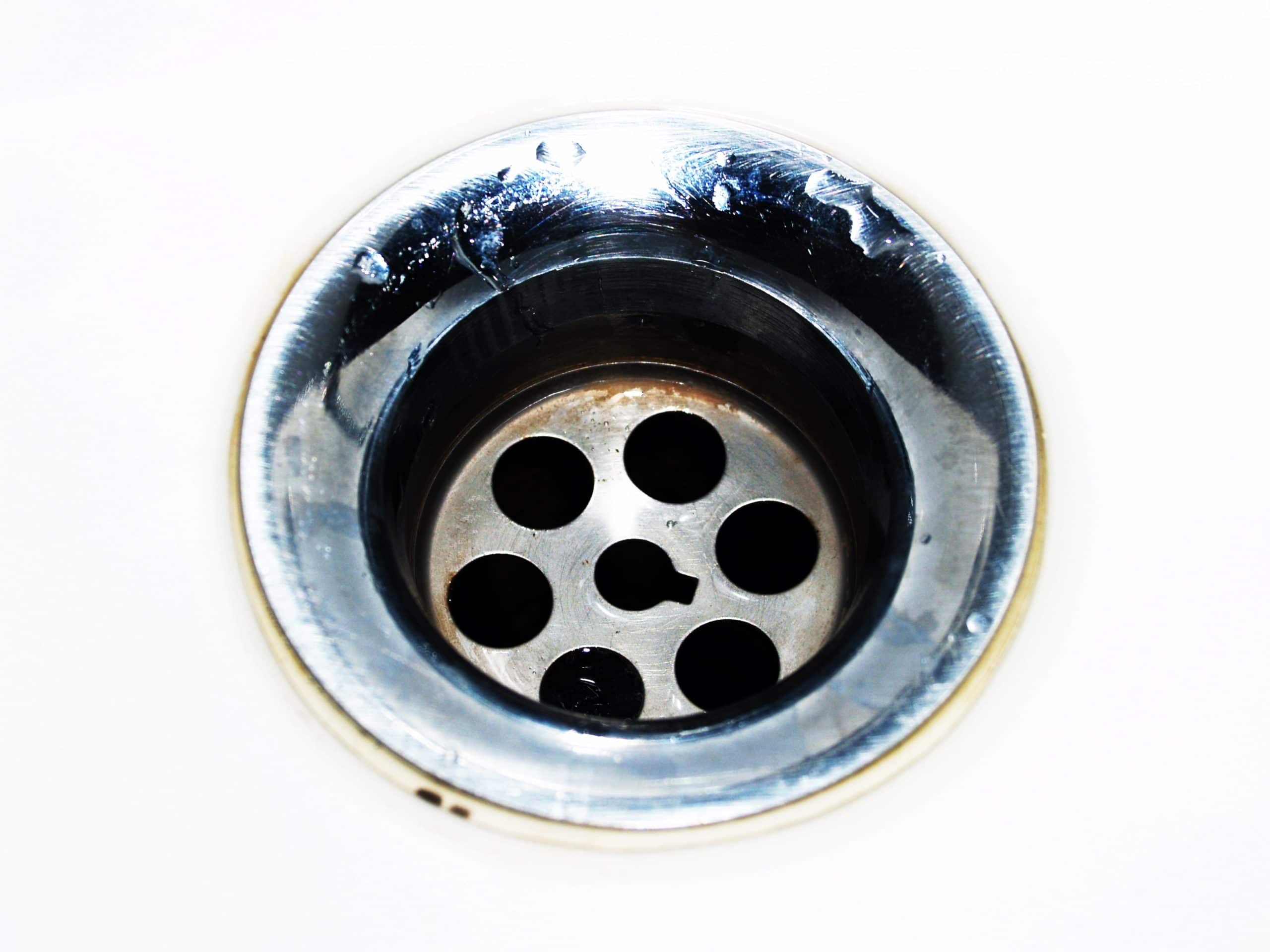Drain Cleaning is Key for a Healthier Home