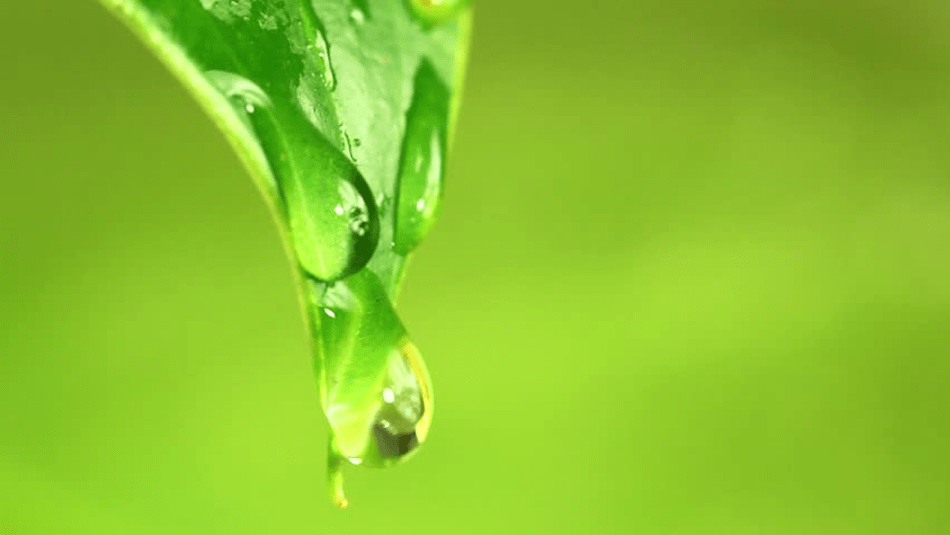 Install These Environmentally-Friendly Appliances To Save $