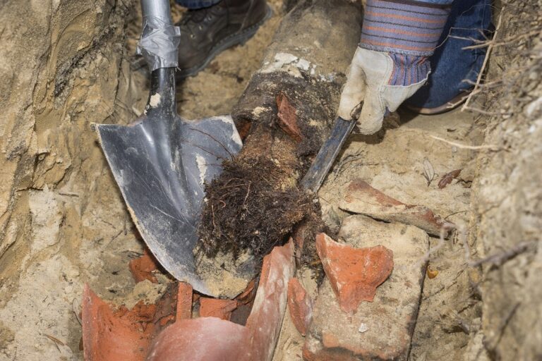 How to Prevent Roots in Your Sewer Line