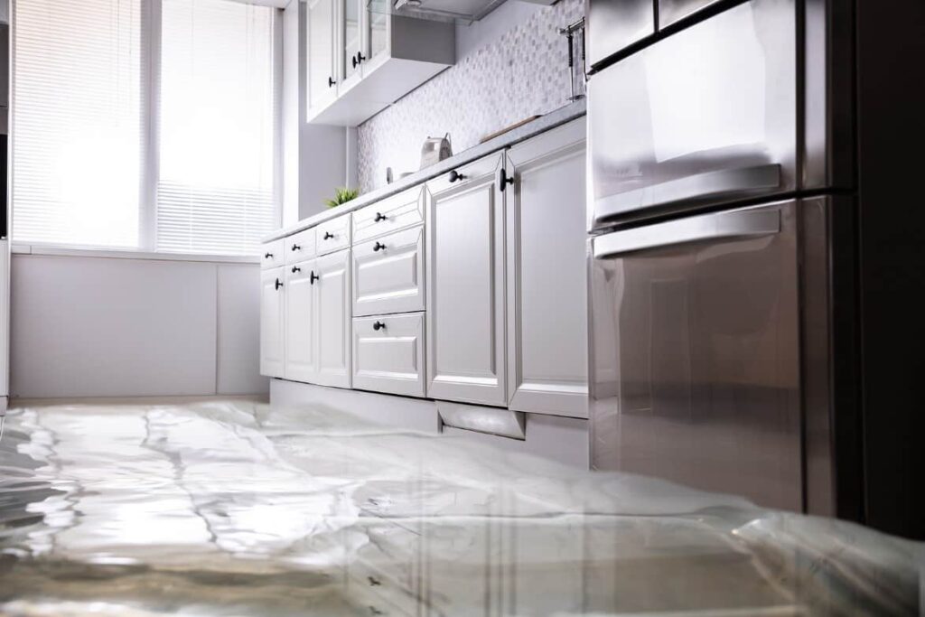 Leaking Water in Your Home: When to Call a Plumber