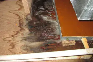 Protect Your Home and Health from Leaky Pipes in Nanaimo