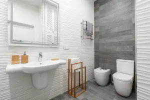 Preventing Toilet Clogs in Nanaimo: Essential Tips