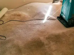 Why a Burst Pipe is a Plumbing Emergency in Niagara and St. Catharines