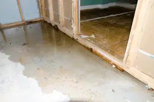 How The Super Plumber Ottawa Can Help with Perimeter Drains