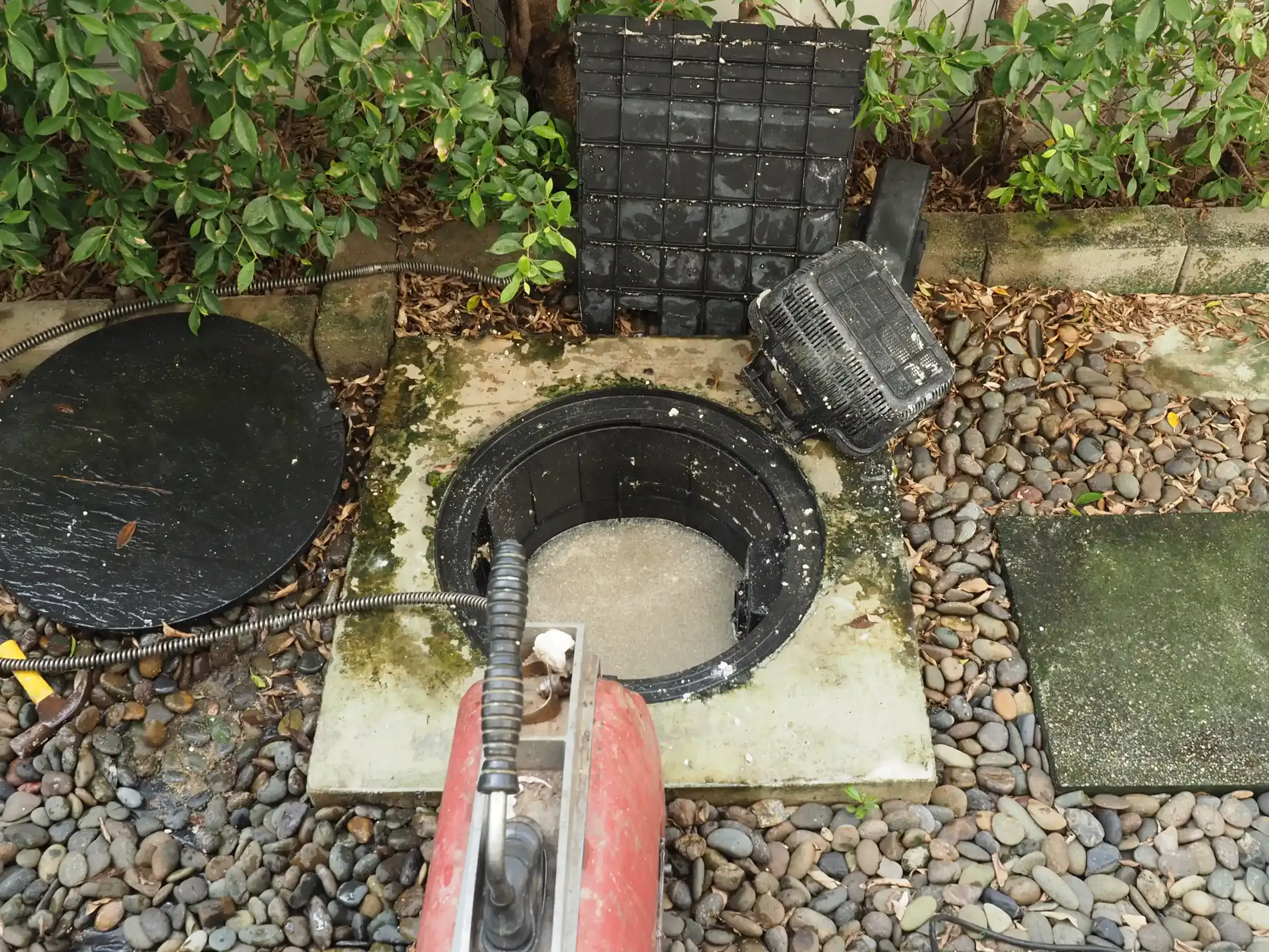Signs Your Sewer Line Needs Repairs