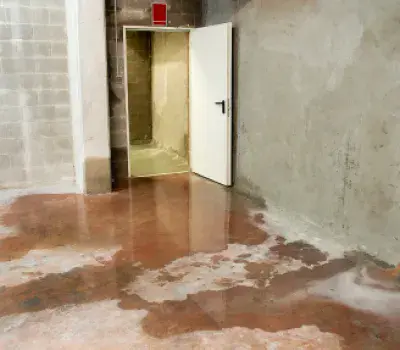 How Water Leaks Can Damage Your Home & Health