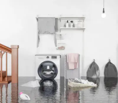 Protect Your Victoria Home from Poly B Risks