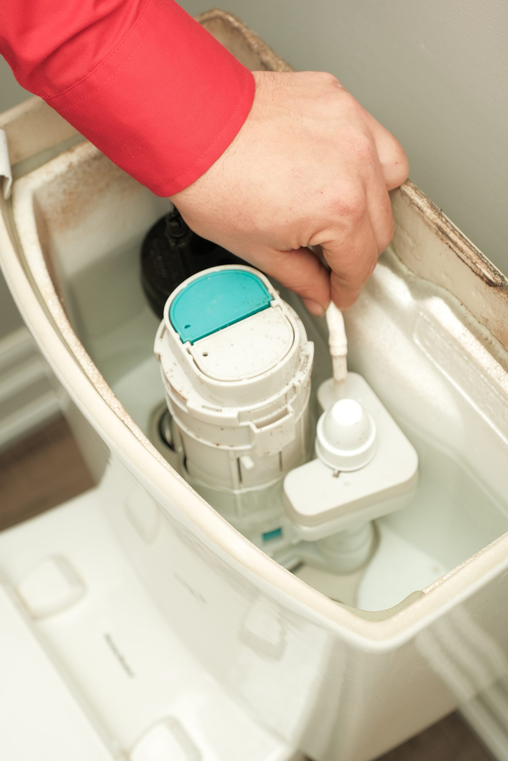 Professional Solutions to Clogged Toilets